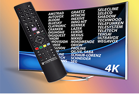 Ready to use 40+ in 1 TV Remote
